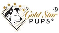 Gold Star Pups image 1